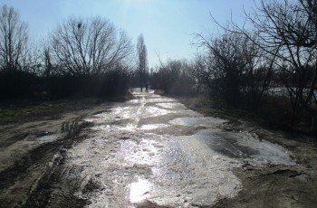 csepel sziget