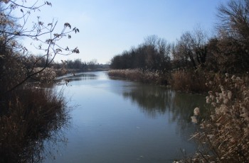 csepel sziget