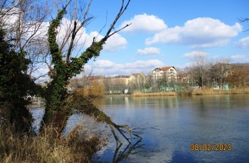 csepel sziget