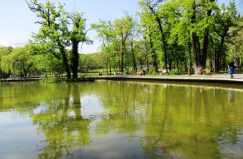 Debrecen és környéke tájképek