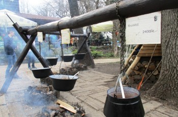 Dobogókő tájkép